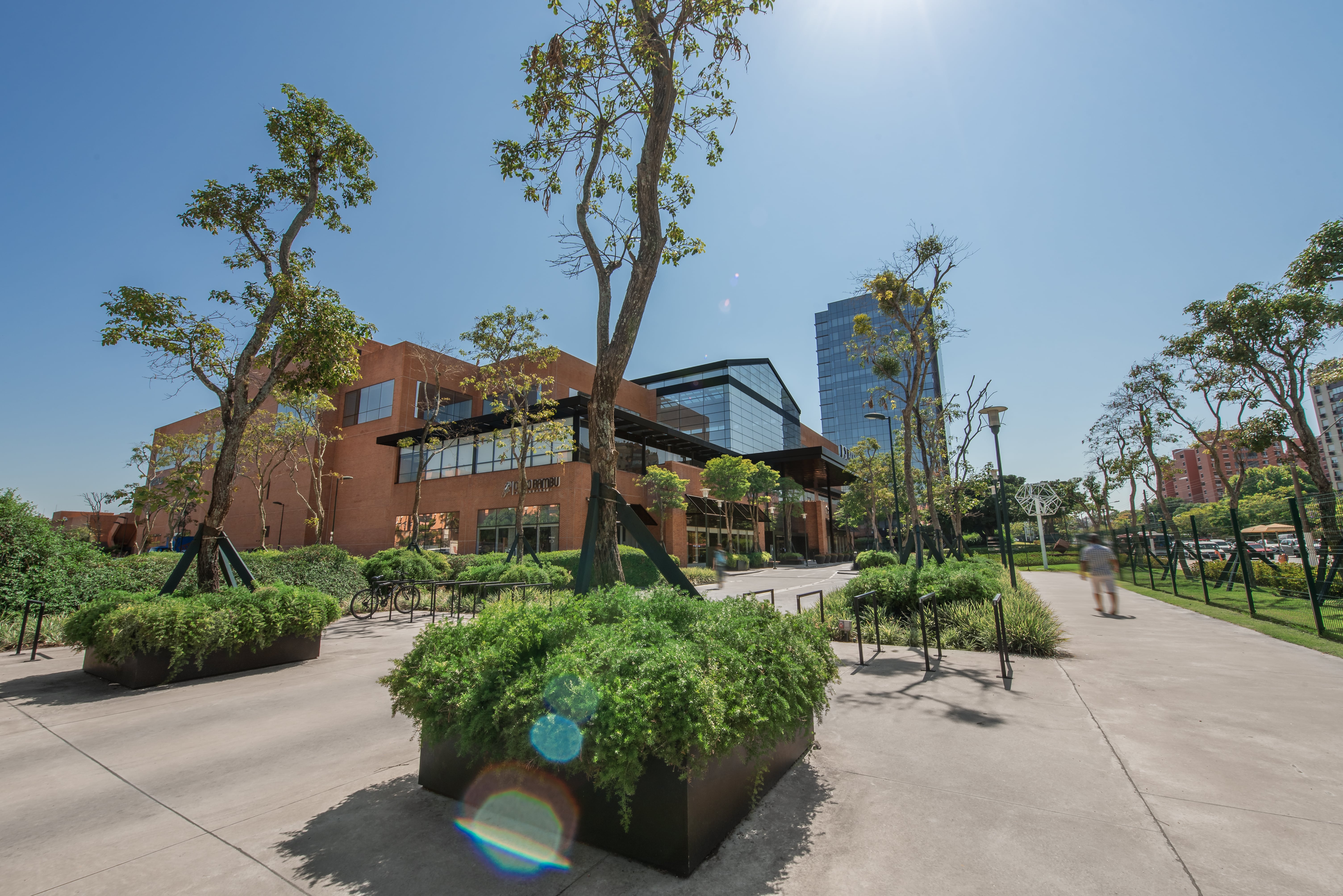 Projeto paisagístico corporativo de grande escala em frente a um edifício comercial de fachada em tijolo aparente e vidro, com ampla praça de convivência marcada por jardineiras elevadas em aço corten contendo juníperos rasteiros e buxinhos topiados, criando volumes verdes em diferentes alturas. Árvores de médio e grande porte como ipês e tipuanas estão sustentadas por tutores metálicos triangulares pintados de verde, proporcionando sombreamento ao passeio de concreto, enquanto canteiros lineare, estilo Moderno, Tropical, elementos Jardineiras elevadas em aço corten de formato retangular e quadrado, Bicicletário metálico em estrutura triangular verde, Postes de iluminação modernos com luminárias LED, Piso em concreto desempenado com juntas de dilatação, Escultura geométrica metálica decorativa à direita, Suportes metálicos triangulares verdes para sustentação de árvores, Canteiros lineares de arbustos topiados ao longo da fachada, Bancos integrados ao paisagismo, plantas Buxinho, Junípero-rasteiro, Murta, Ipê-amarelo, Tipuana, Pata-de-vaca, Ficus, Grama-esmeralda, Viburno, Azaleia, ambiente moderno, sofisticado, localização fachada, entrada, jardim, área grande, estruturas pergolado, iluminacao, banco, cores verde-escuro, verde-claro, cinza-concreto, marrom-corten, terracota, preto-metalico, verde-metalico, piso pisantes, grama, privacidade cerca_viva, água nenhum