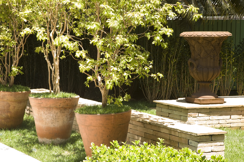 Jardim de inspiração clássica com forte influência tropical, onde jabuticabeiras cultivadas em grandes vasos de terracota criam um alinhamento escultural sobre gramado bem cuidado, contrastando com o fundo escuro formado por cerca viva densa. Uma ânfora ornamental em terracota, apoiada sobre pilar de pedra arenito rústica, confere um ponto focal elegante ao conjunto, enquanto bordaduras de buxinho e touceiras de bambu-de-jardim complementam a composição com texturas variadas. O projeto equilibra, estilo Classico, Tropical, elementos Vasos grandes de terracota com jabuticabeiras, Vaso ornamental tipo ânfora clássica em terracota sobre pilar de pedra, Mureta de pedra natural tipo arenito com acabamento rústico, Gramado bem aparado entre os vasos, Cerca viva escura ao fundo formando painel de privacidade, Bordadura de buxinho podado em forma arredondada, Touceira de bambu junto ao muro verde ao fundo direito, Pilar de pedra natural escalonado como pedestal decorativo, plantas Jabuticabeira, Buxinho, Bambu-de-jardim, Palmeira, ambiente sofisticado, acolhedor, relaxante, localização jardim, entrada, área medio, estruturas nenhum, cores Verde escuro, Verde claro, Terracota, Bege arenoso, Marrom, piso grama, pedra, privacidade cerca_viva, água nenhum