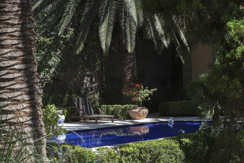 Projeto paisagístico de inspiração tropical-clássica organizado ao redor de uma elegante piscina retangular revestida em pastilhas azul-cobalto intenso, emoldurada por topiarias baixas de buxinho meticulosamente podadas que conferem formalidade ao conjunto. Palmeiras-tamareiras e cicas de grande porte criam um dossel exuberante de sombra densa, enquanto vasos rústicos de cerâmica com bougainvilleas vermelhas pontuam o espaço com cor vibrante. O ambiente evoca um riad marroquino ou jardim mediter, estilo Tropical, Classico, elementos Piscina retangular revestida em pastilha azul-cobalto, Espreguiçadeira de madeira com encosto reclinável, Vaso cerâmico rústico de grande porte com floreira vermelha, Topiaria de buxinho em cercadura baixa ao redor da piscina, Bordadura de pedra natural ao redor do deck da piscina, Muro de fundo em tom terroso/ocre parcialmente encoberto por vegetação, plantas Palmeira-tamareira, Cica, Bougainvillea vermelha, Buxinho, Palmeira-real, Hibisco, Jasmim-manga, ambiente relaxante, sofisticado, acolhedor, localização piscina, jardim, quintal, área grande, estruturas iluminacao, cores azul-cobalto, verde-escuro, verde-claro, vermelho, terracota, marrom, bege, piso pedra, deck, privacidade cerca_viva, muro_verde, água piscina