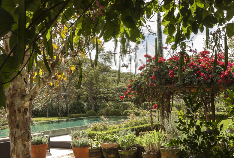 Jardim tropical de grande porte integrado a uma piscina de borda infinita, composto por canteiros formais rebaixados com topiaria de buxinho e horta de ervas aromáticas em vasos de barro artesanais, criando um contraste refinado entre o clássico e o contemporâneo. Um pergolado rústico sustenta uma exuberante bougainvillea vermelha e barba-de-velho pendente, enquanto uma árvore de tronco escultural com longos frutos pendentes (Kigelia africana) emoldura a vista para a mata densa ao fundo. O paisa, estilo Tropical, Moderno, Classico, elementos Piscina de borda infinita com acabamento em tom esverdeado, Vasos de barro artesanais com ervas aromáticas, Canteiros geométricos rebaixados com bordaduras de buxinho topiado, Pergolado rústico coberto por trepadeiras e bougainvillea, Árvore com tronco escultural de casca clara como ponto focal, Jardim em níveis com terraceamento verde, Massa arbórea densa ao fundo como cortina vegetal, plantas Bougainvillea, Sausage Tree / Bisnagueira, Buxinho, Alecrim, Ervas aromáticas variadas, Tillandsia / Barba-de-velho, Chuva-de-ouro, Albizia / Árvore-da-seda, Filodendro, Murta, Grama-esmeralda, ambiente sofisticado, relaxante, acolhedor, localização jardim, piscina, varanda, área grande, estruturas pergolado, cores Verde-escuro, Verde-claro, Vermelho-vivo, Rosa-magenta, Amarelo, Branco, Terracota, Cinza-esverdeado, piso grama, pedra, privacidade cerca_viva, muro_verde, água piscina