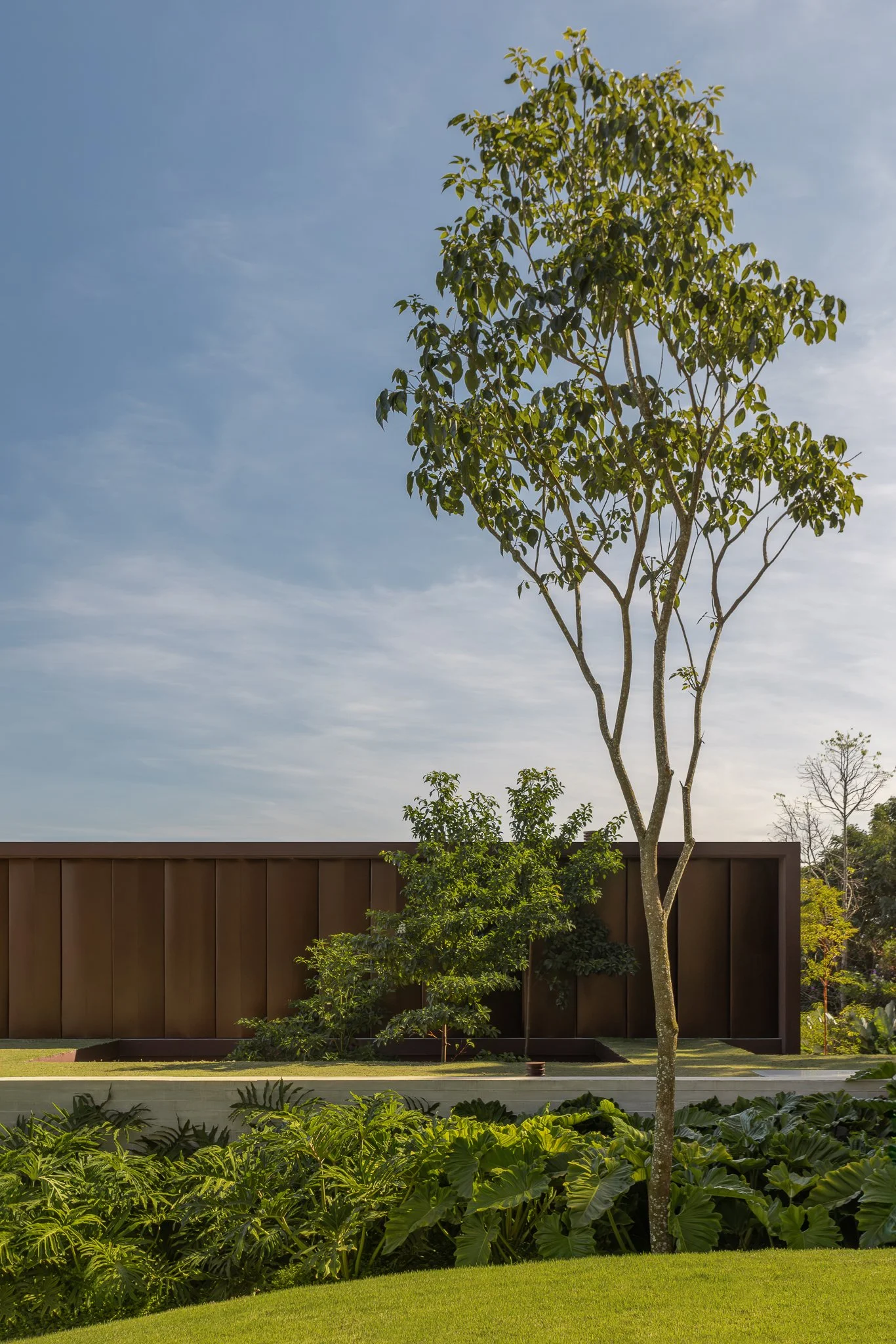 Projeto paisagístico contemporâneo de grande porte com forte influência tropical brasileira, onde um imponente muro de aço corten com painéis verticais serve como pano de fundo escultural para camadas exuberantes de vegetação tropical. O desenho explora a contraposição entre a rigidez geométrica dos elementos construídos e a organicidade dos maciços de filodendros, alocásias e forração densa, com uma árvore de porte médio posicionada como elemento focal que rompe a horizontalidade da composição., estilo Moderno, Tropical, elementos Muro de aço corten com painéis verticais em altura generosa, Canteiro elevado com bordas de aço corten, Piso de concreto aparente liso, Taludes gramados com forração tropical densa, Maciço vegetal em camadas de diferentes alturas, plantas Filodendro, Taioba-ornamental, Costela-de-adão, Renda-portuguesa, Pau-ferro, Pata-de-vaca, Grama-esmeralda, Helicônia, Clúsia, Palmeira-areca, ambiente moderno, sofisticado, localização fachada, jardim, entrada, área grande, estruturas iluminacao, cores Verde-escuro, Verde-claro, Marrom-corten, Cinza-concreto, Azul-céu, piso grama, porcelanato, privacidade muro_verde, cerca_viva, água nenhum
