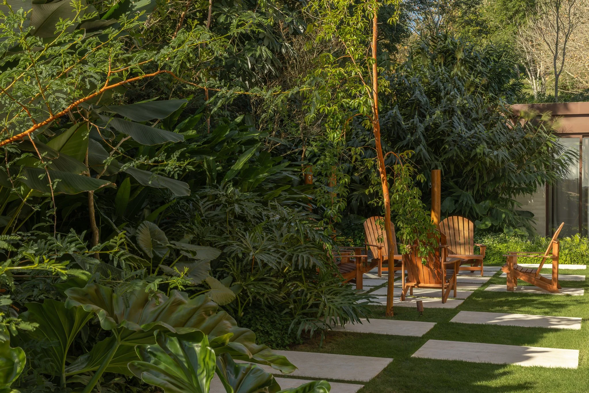 Jardim tropical contemporâneo com generoso maciço vegetal de espécies de folhagens exuberantes criando uma densa cortina verde que envolve uma área de estar intimista composta por cadeiras Adirondack em madeira nobre, dispostas sobre pisantes retangulares de porcelanato cimentício intercalados com grama-esmeralda. A composição paisagística utiliza camadas de vegetação — desde forrageiras e filodendros no estrato baixo, passando por helicônias e bananeiras-ornamentais no médio, até árvores de tro, estilo Moderno, Tropical, elementos Cadeiras Adirondack em madeira de lei, Mesa lateral redonda em madeira, Pisantes retangulares de porcelanato cimentício intercalados com grama, Poste de iluminação em madeira com luminária pendente, Estrutura de vidro com esquadria metálica marrom (estúdio/pavilhão de jardim), Caminho linear de pisantes formando eixo de circulação, Maciço vegetal denso como cerca viva tropical, Bebedouro/comedouro para pássaros fixado em tronco, plantas Helicônia, Bananeira-ornamental, Filodendro-guaimbê, Costela-de-adão, Palmeira-ráfis, Jabuticabeira, Pata-de-vaca, Ligustro, Samambaia-açu, Asplenio, Bergênia, Clorofito, Grama-esmeralda, Manga, Antúrio, Pacová, ambiente relaxante, sofisticado, acolhedor, localização jardim, quintal, área medio, estruturas iluminacao, banco, cores Verde-escuro, Verde-claro, Marrom-avermelhado (madeira), Cinza-claro (pisantes), Cobre (troncos jovens), Bege, piso pisantes, grama, porcelanato, privacidade cerca_viva, muro_verde, água nenhum