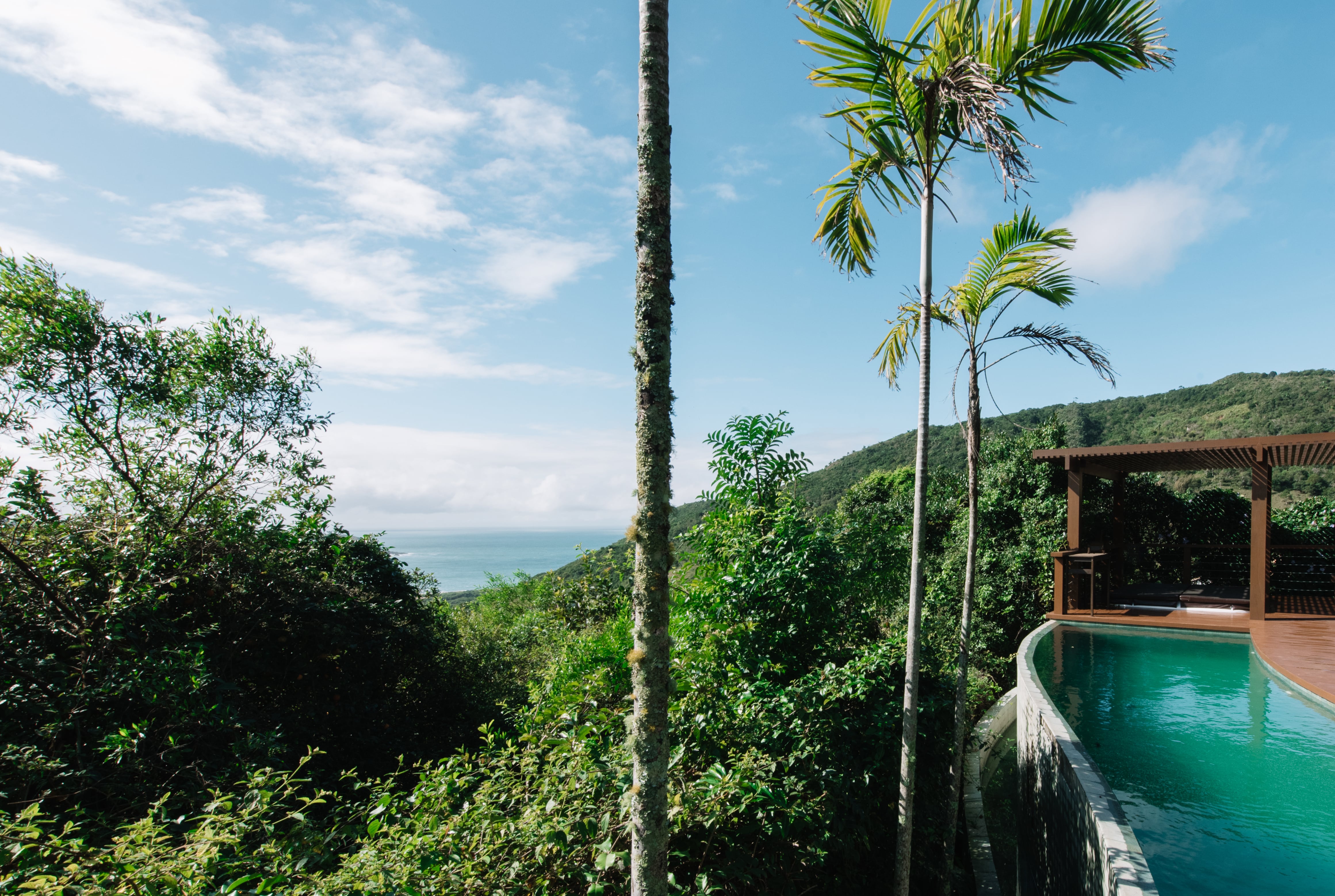 Projeto paisagístico de alto padrão integrado à encosta litorânea com vegetação nativa de Mata Atlântica preservada, onde a piscina de borda infinita com desenho curvilíneo se projeta sobre o vale verde em direção ao oceano, criando uma continuidade visual impressionante. O deck em madeira nobre e o pergolado com ripas horizontais conferem sofisticação tropical ao espaço de lazer, enquanto palmeiras-reais e espécies nativas de restinga compõem a moldura vegetal exuberante. A integração entre arq, estilo Tropical, Moderno, elementos Piscina de borda infinita com formato curvo em concreto, Deck de madeira de lei ao redor da piscina, Pergolado de madeira com cobertura em ripas horizontais, Vegetação densa de encosta como cerca natural, Vista panorâmica para o oceano Atlântico, Encosta verde preservada com mata nativa, plantas Palmeira-real, Palmeira-areca, Helicônia, Murta, Clusia, Pitangueira, Vegetação nativa de restinga, Samambaia-açu, Embaúba, ambiente relaxante, sofisticado, moderno, localização piscina, jardim, quintal, área grande, estruturas pergolado, cores verde-escuro, verde-claro, azul-turquesa, marrom-madeira, azul-celeste, branco-nuvem, piso deck, pedra, privacidade cerca_viva, água piscina