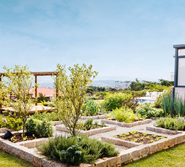 Horto medicinal e culinário de inspiração clássica europeia com canteiros elevados em pedra natural, organizados em formato quadripartido simétrico com caminhos de brita clara, remetendo aos jardins monásticos medievais adaptados ao paisagismo contemporâneo brasileiro. Ao redor dos canteiros de ervas aromáticas e hortaliças, uma paisagem exuberante integra espécies ornamentais de médio porte como oliveiras e moreias, com vista panorâmica para uma área de lazer com piscina e pérgola em madeira. O, estilo Moderno, Classico, elementos Canteiros elevados em pedra natural dispostos em formato geométrico quadripartido, Caminhos internos de brita entre os canteiros, Bordadura de pedra calcária rústica, Gramado bem aparado circundando os canteiros, Pérgola de madeira com banco ao fundo, Piscina visível ao fundo à direita, Regador decorativo de metal escuro, Estrutura metálica de edificação à direita, plantas Alecrim, Lavanda, Tomilho, Sálvia, Manjericão, Cebolinha, Hortelã, Orégano, Alface, Dracena, Moreia, Oliveira, Buxinho, Agapanto, Capim-do-texas, ambiente sofisticado, acolhedor, relaxante, localização jardim, quintal, piscina, área grande, estruturas pergolado, banco, cores verde-claro, verde-escuro, terracota, bege, marrom, roxo, branco, azul-céu, piso grama, brita, pedra, privacidade nenhum, água piscina