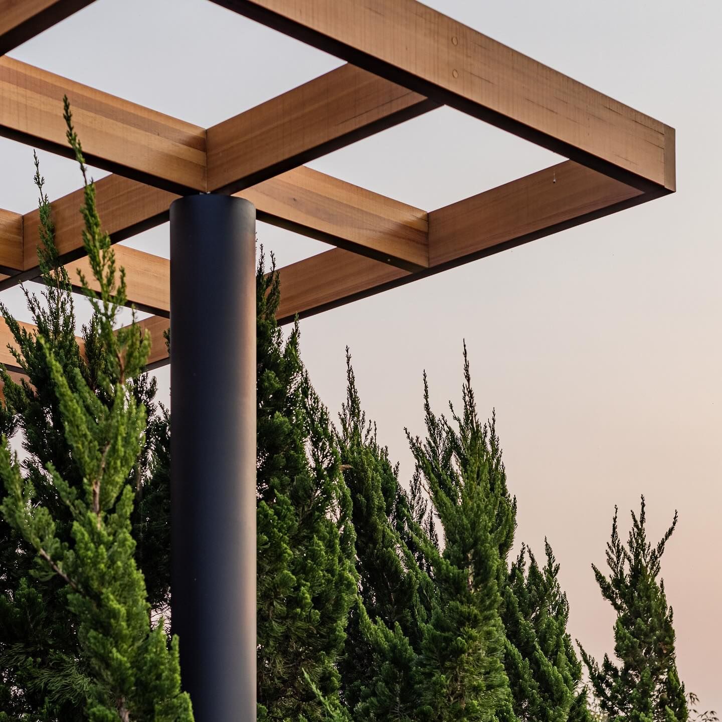 Projeto paisagístico contemporâneo que integra um pergolado de madeira clara apoiado sobre coluna cilíndrica metálica em aço galvanizado, criando uma moldura arquitetônica elegante contra o céu do entardecer. Ao fundo, um maciço denso de Kaizucas (Juniperus chinensis 'Torulosa') com seus ramos ascendentes e textura cônica forma uma cerca viva alta que garante privacidade e verticalidade à composição. A combinação entre a linearidade geométrica do pergolado e a organicidade das coníferas resulta , estilo Moderno, elementos pergolado com vigas de madeira natural sobre estrutura metálica, coluna cilíndrica em aço galvanizado cinza, massa vegetal densa de coníferas formando barreira verde ao fundo, plantas Kaizuca, ambiente moderno, sofisticado, localização jardim, entrada, área medio, estruturas pergolado, cores verde-escuro, cinza-chumbo, madeira-natural, bege-rosado do céu, privacidade cerca_viva, água nenhum