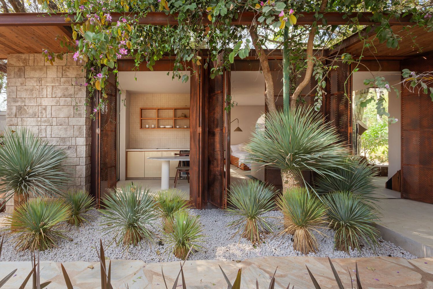 Projeto paisagístico contemporâneo de influência tropical árida, onde um conjunto volumoso de nolinas e dracenas dispostas sobre generoso colchão de seixos brancos cria um jardim contemplativo frontal que dialoga com a arquitetura de aço corten perfurado e blocos de pedra calcária. A pérgola em madeira maciça sustenta uma vigorosa trepadeira florida (possivelmente Bauhinia ou Congeia), cujos ramos pendentes filtram a luz e conectam visualmente o teto ao jardim, reforçando a transição orgânica en, estilo Moderno, Tropical, elementos Seixos brancos rolados como cobertura de solo, Portas-camarão em aço corten perfurado, Parede em blocos de pedra calcária aparente, Pergolado em madeira maciça escura com trepadeira, Laje de pedra natural no piso de acesso, Cozinha integrada ao exterior com bancada branca redonda, Dormitório com abertura total para o jardim, plantas Dracena-dragoeiro, Nolina / Pata-de-elefante jovem, Agave, Pata-de-vaca / Árvore-orquídea, Trepadeira tipo Bougainvillea ou Congeia, ambiente sofisticado, moderno, relaxante, localização fachada, jardim, entrada, área medio, estruturas pergolado, cores verde-acinzentado, marrom-corten, branco, bege, rosa-lilás, cinza-pedra, madeira escura, piso brita, pedra, privacidade nenhum, água nenhum