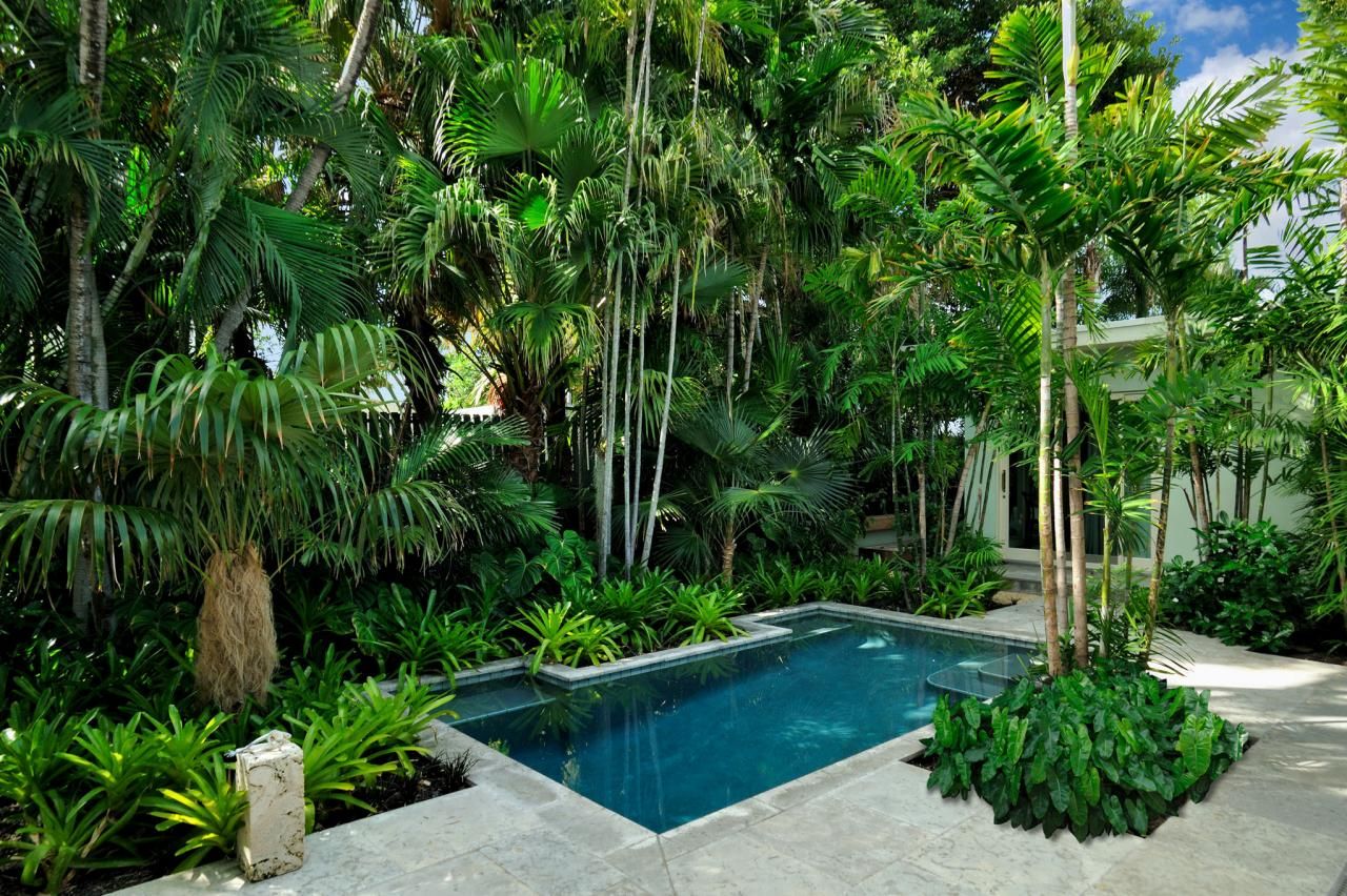 Projeto paisagístico tropical contemporâneo que integra uma piscina retangular de bordas elevadas em pastilha azul a um exuberante jardim de palmeiras e folhagens tropicais, criando uma atmosfera de oásis urbano com total privacidade. A composição utiliza camadas verticais de palmeiras-leque, arecas e palmeiras-bambu no estrato superior, com bromélias, filodendros e taiobas-ornamentais ocupando o estrato inferior, formando um maciço verde denso que envolve completamente a área de lazer. O piso e, estilo Moderno, Tropical, elementos Piscina retangular com borda elevada em pastilha azul, Piso em pedra natural tipo São Tomé ou mármore travertino, Escultura ou objeto decorativo em pedra calcária junto ao canteiro esquerdo, Estrutura arquitetônica moderna com paredes brancas ao fundo direito, Canteiros orgânicos perimetrais densamente plantados, Maciços vegetais em camadas criando efeito de selva tropical, plantas Palmeira-leque, Palmeira-areca, Palmeira-real, Palmeira-rápis, Bromélia, Filodendro, Costela-de-adão, Antúrio, Cróton, Helicônia, Palmeira-bambu, Taioba-ornamental, Espada-de-são-jorge, Guaimbê, ambiente relaxante, sofisticado, acolhedor, localização piscina, jardim, quintal, área medio, estruturas nenhum, cores verde-escuro, verde-claro, azul-piscina, branco, cinza-claro, bege, piso pedra, privacidade cerca_viva, muro_verde, água piscina
