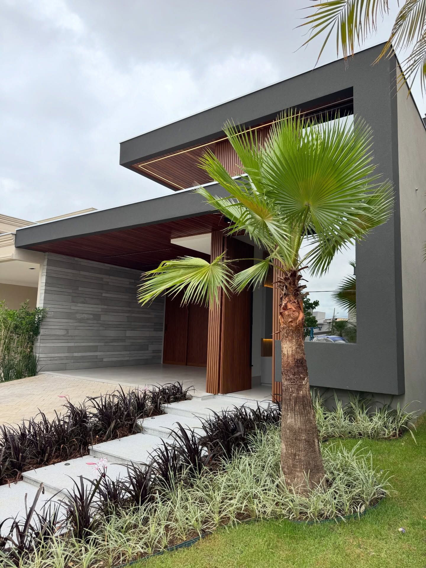 Fachada residencial contemporânea com volumetria marcante em concreto cinza escuro e generoso uso de madeira ripada cumaru no carport e painel de entrada, criando um contraste sofisticado entre o mineral e o natural. O paisagismo frontal combina uma palmeira-leque-de-Fiji como ponto focal escultórico, ladeada por massivos de grama-preta Ophiopogon 'Nigrescens' nos canteiros elevados e barba-de-serpente variegata como forração, gerando textura e contraste cromático entre folhagens escuras e clara, estilo Moderno, Tropical, elementos Escada de acesso em pisantes de porcelanato claro com juntas de grama, Canteiros elevados lineares com bordas rentes ao piso, Forro ripado em madeira cumaru no teto do carport, Painel vertical em réguas de madeira ripada na entrada, Revestimento de pedra natural filetada cinza na parede lateral, Iluminação embutida em LED linear no forro do carport, Volume em concreto pintado de cinza escuro formando moldura na fachada, Gramado frontal em grama-esmeralda, plantas Palmeira-leque-de-Fiji, Grama-preta, Barba-de-serpente variegata, Coqueiro, ambiente moderno, sofisticado, localização fachada, entrada, jardim, área medio, estruturas iluminacao, cores Cinza escuro (fachada), Marrom madeira cumaru (ripado e forro), Verde claro (palmeira-leque), Verde escuro quase preto (grama-preta), Verde claro variegado (barba-de-serpente), Branco (pisantes e degraus), Cinza claro (revestimento filetado em pedra), piso grama, porcelanato, pisantes, privacidade nenhum, água nenhum