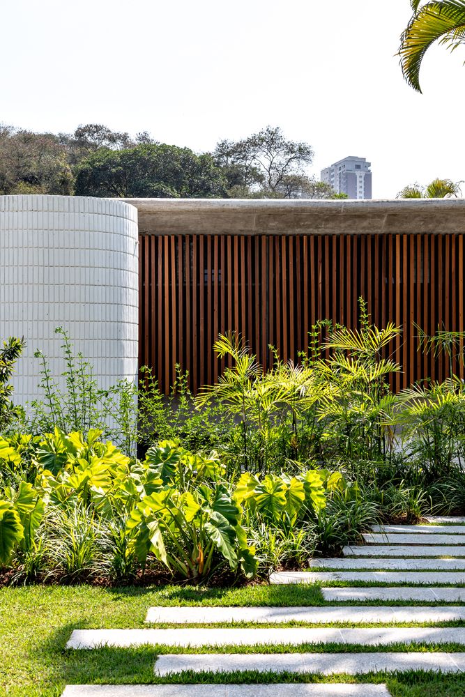 Projeto paisagístico contemporâneo de fachada residencial que combina volumetria curva revestida em cerâmica branca com painel de madeira ripada vertical em cumaru, criando uma composição arquitetônica elegante e permeável. O canteiro tropical adensado à frente apresenta taiobas-ornamentais de folhagem exuberante verde-limão como destaque, complementadas por palmeiras-areca, capim-do-texas e heliconias, formando camadas de texturas e alturas variadas. Pisantes retangulares de concreto espaçados , estilo Moderno, Tropical, elementos Painel de madeira ripada vertical em cumaru, Parede curva revestida em cerâmica branca, Pisantes retangulares de concreto sobre gramado, Laje plana de concreto aparente como cobertura, Gramado de grama-esmeralda entre pisantes, Canteiro tropical adensado junto à fachada, plantas Taioba-ornamental, Palmeira-areca, Capim-do-texas, Moreia, Helicônia, Palmeira-real, Rabo-de-gato, Xanadu, ambiente moderno, sofisticado, acolhedor, localização fachada, entrada, jardim, área medio, estruturas nenhum, cores Verde-limão, Verde-escuro, Marrom-avermelhado da madeira, Branco da cerâmica, Cinza do concreto, Verde-claro do gramado, piso grama, pisantes, privacidade cerca_viva, água nenhum