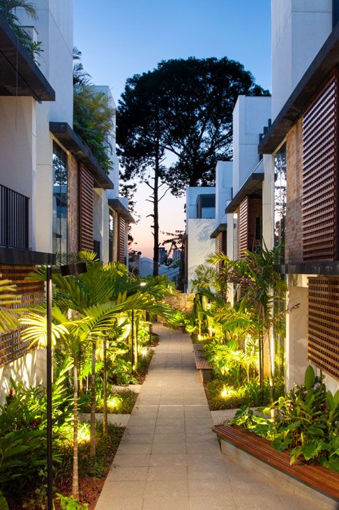 Corredor paisagístico entre blocos residenciais contemporâneos com volumetria escalonada e brises de madeira ripada, onde um generoso jardim tropical linear é valorizado por iluminação cênica de uplighting que destaca palmeiras-leque, arecas e filodendros exuberantes. O piso em placas de pedra natural clara cria um caminho retilíneo central ladeado por jardineiras elevadas em madeira nobre e vegetação densa de sub-bosque, tendo ao fundo uma majestosa araucária como ponto focal que conecta o proj, estilo Moderno, Tropical, elementos Iluminação embutida no piso tipo spot uplighting, Piso de placas de pedra natural clara retangulares, Jardineiras elevadas em madeira cumaru, Brises de madeira ripada nas fachadas, Bancos integrados em madeira, Fachada em concreto aparente e alvenaria, Vidro temperado nas sacadas, plantas Palmeira-leque-chinesa, Palmeira-areca, Helicônia, Filodendro, Pacová, Costela-de-adão, Samambaia-açu, Bananeira-ornamental, Pinheiro-do-paraná, Lírio-da-paz, Bromélia, ambiente sofisticado, moderno, acolhedor, relaxante, localização corredor, entrada, jardim, área medio, estruturas banco, iluminacao, cores verde-escuro, verde-claro, branco, marrom-madeira, cinza-claro, amarelo-quente, piso pedra, pisantes, privacidade cerca_viva, água nenhum