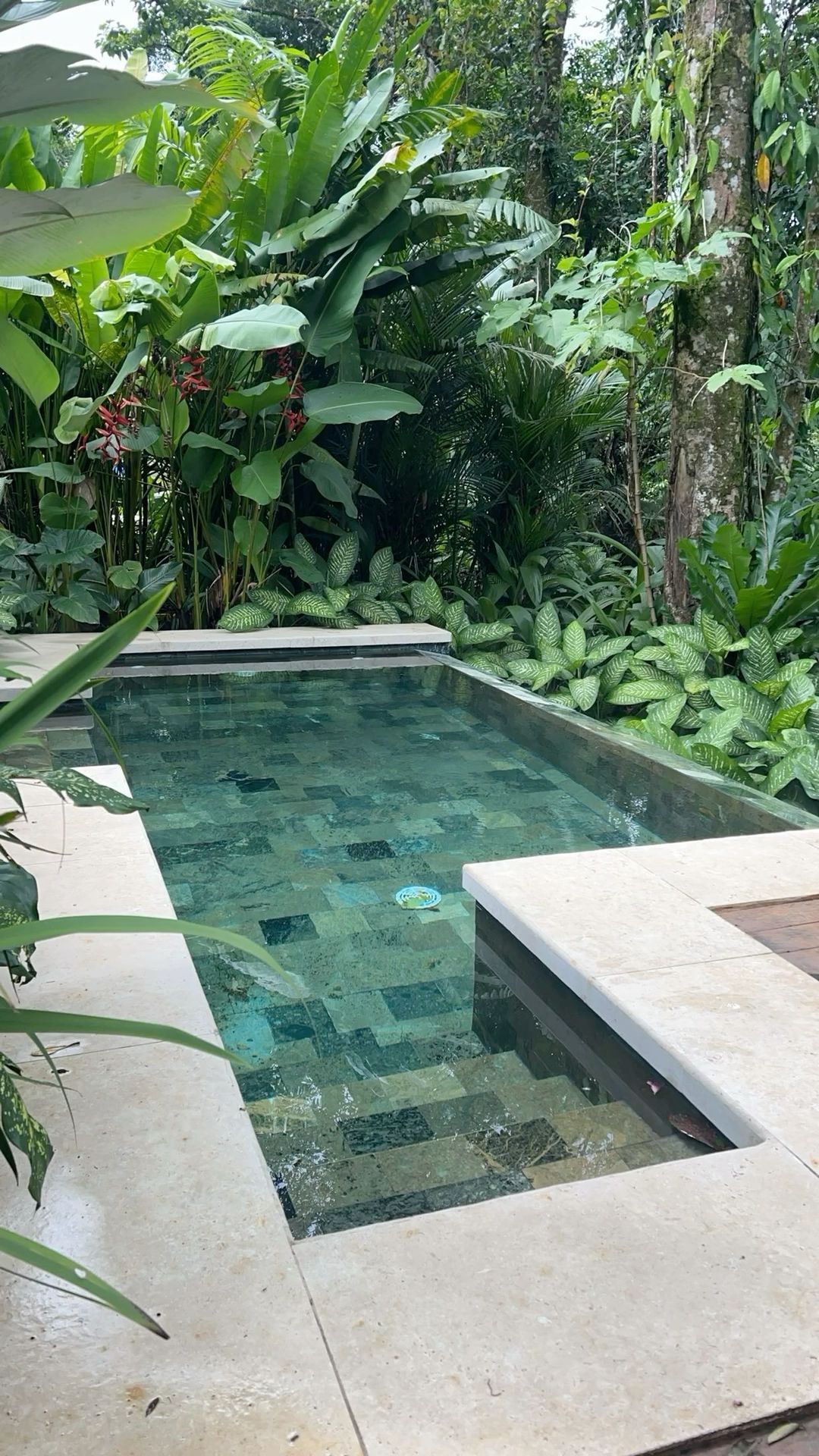 Projeto de paisagismo tropical contemporâneo integrado a uma piscina de borda infinita revestida em pedra natural verde (estilo Bali/Hijau), emoldurada por bordas em mármore travertino bege, criando um contraste elegante entre a rusticidade tropical e a sofisticação moderna. O maciço vegetal ao fundo é composto por helicônias, bananeiras-ornamentais, filodendros e comigo-ninguém-pode em camadas de alturas variadas, formando uma cortina verde densa que garante total privacidade e simula uma imers, estilo Moderno, Tropical, elementos Piscina retangular com borda infinita em pedra natural verde (tipo Hijau ou pedra Bali), Bordas em mármore travertino bege, Deck em madeira de lei adjacente à piscina, Maciço tropical denso ao fundo funcionando como muro verde natural, Árvore de grande porte nativa preservada integrada ao paisagismo, Degrau submerso tipo spa/prainha na extremidade da piscina, plantas Helicônia, Bananeira-ornamental, Comigo-ninguém-pode, Palmeira-ráfis, Filodendro, Alpínia, Costela-de-adão, Lírio-da-paz, Maranta, Singônio, ambiente relaxante, sofisticado, acolhedor, localização piscina, jardim, área medio, estruturas nenhum, cores verde-escuro, verde-claro, turquesa, bege, marrom, vermelho-pontual, piso pedra, deck, privacidade cerca_viva, muro_verde, água piscina