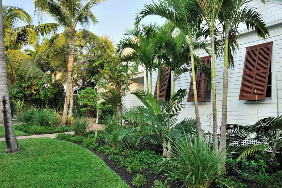 Projeto paisagístico tropical de fachada residencial em estilo colonial caribenho, com generoso uso de palmeiras de diferentes portes e espécies criando volumetria escalonada junto à edificação de madeira branca com venezianas marrons articuladas. O canteiro orgânico de formas curvilíneas é revestido com mulch escuro e abriga forrações densas, arbustos baixos de clúsia e moréias, contrastando com o gramado esmeralda impecável que delimita suavemente a composição. A exuberância tropical é reforça, estilo Tropical, Classico, elementos Casa colonial de madeira branca com siding horizontal, Venezianas de madeira marrom estilo bahamas articuladas para cima, Treliça branca tipo lattice na base da edificação, Canteiro orgânico com cobertura de mulch escuro, Gramado bem aparado com bordas curvas definidas, Caminho de acesso entre as edificações, Edificação secundária ao fundo com cobertura clara, plantas Coqueiro, Palmeira-real, Palmeira-areca, Palmeira-ráfia, Moréia, Clúsia, Lírio-do-brejo, Grama-esmeralda, Fórmio, Pândano, Helicônia, Singônio, Amendoeira-da-praia, ambiente relaxante, acolhedor, sofisticado, localização fachada, jardim, corredor, área medio, estruturas nenhum, cores verde-escuro, verde-claro, branco, marrom, amarelo-esverdeado, cinza-claro, piso grama, privacidade cerca_viva, água nenhum