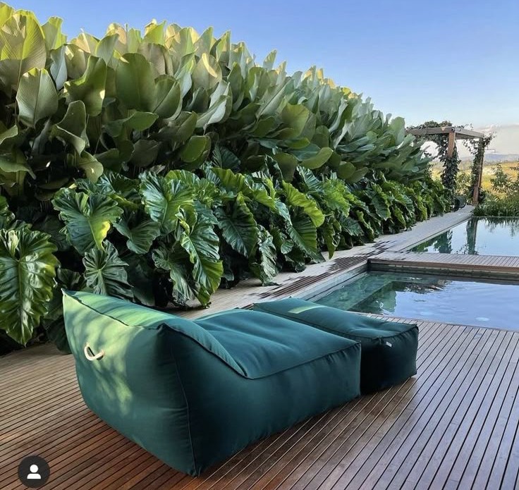 Projeto paisagístico tropical contemporâneo que integra uma exuberante cerca-viva composta por Strelitzia nicolai ao fundo, com suas folhas largas e imponentes criando um paredão verde de grande impacto visual, complementadas por Philodendron bipinnatifidum na base, formando uma massa vegetal densa e texturizada. O deck em madeira nobre de réguas estreitas emoldura a piscina de borda infinita com revestimento escuro, que reflete o céu e a vegetação como um espelho d'água, enquanto espreguiçadeir, estilo Moderno, Tropical, elementos piscina de borda infinita com acabamento escuro, deck de madeira ripada em cumaru ou similar, puffs/espreguiçadeiras modulares em tecido impermeável verde-escuro, pergolado de madeira com trepadeira ao fundo, cerca-viva tropical densa como barreira visual, plantas Bananeira-de-jardim, Filodendro-guaimbê, ambiente relaxante, sofisticado, moderno, localização piscina, jardim, área grande, estruturas pergolado, cores verde-escuro, verde-claro, marrom-madeira, azul-céu, teal, piso deck, privacidade cerca_viva, água piscina