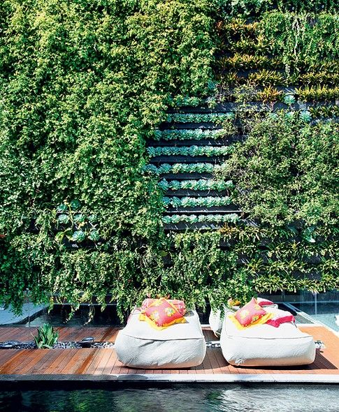 Projeto paisagístico contemporâneo que integra um exuberante jardim vertical de grande escala como pano de fundo para a área de piscina, composto por módulos com espécies de diferentes texturas e tonalidades de verde, criando um efeito de tapeçaria viva. O deck em madeira nobre cumaru posicionado entre a piscina de borda escura e o muro verde abriga daybeds confortáveis com almofadas em tons vibrantes de coral e amarelo, estabelecendo um contraste tropical sofisticado. A composição vegetal mescl, estilo Moderno, Tropical, elementos Jardim vertical estruturado em módulos metálicos com bolseiras, Deck de madeira cumaru em réguas horizontais junto à piscina, Pufes/daybeds retangulares em tecido náutico cinza claro, Almofadas decorativas em tons de coral, amarelo e rosa, Piscina com borda infinita em acabamento escuro, Seixos pretos de rio na transição entre deck e muro verde, plantas Unha-de-gato, Lambari, Ripsális, Suculentas variadas, Barba-de-serpente, Bromélia, Peperômia, Hera, Singônio, Cróton, ambiente relaxante, moderno, sofisticado, localização piscina, muro, área medio, estruturas iluminacao, cores verde-escuro, verde-claro, amarelo, coral, rosa, cinza-claro, marrom-madeira, preto, piso deck, privacidade muro_verde, água piscina
