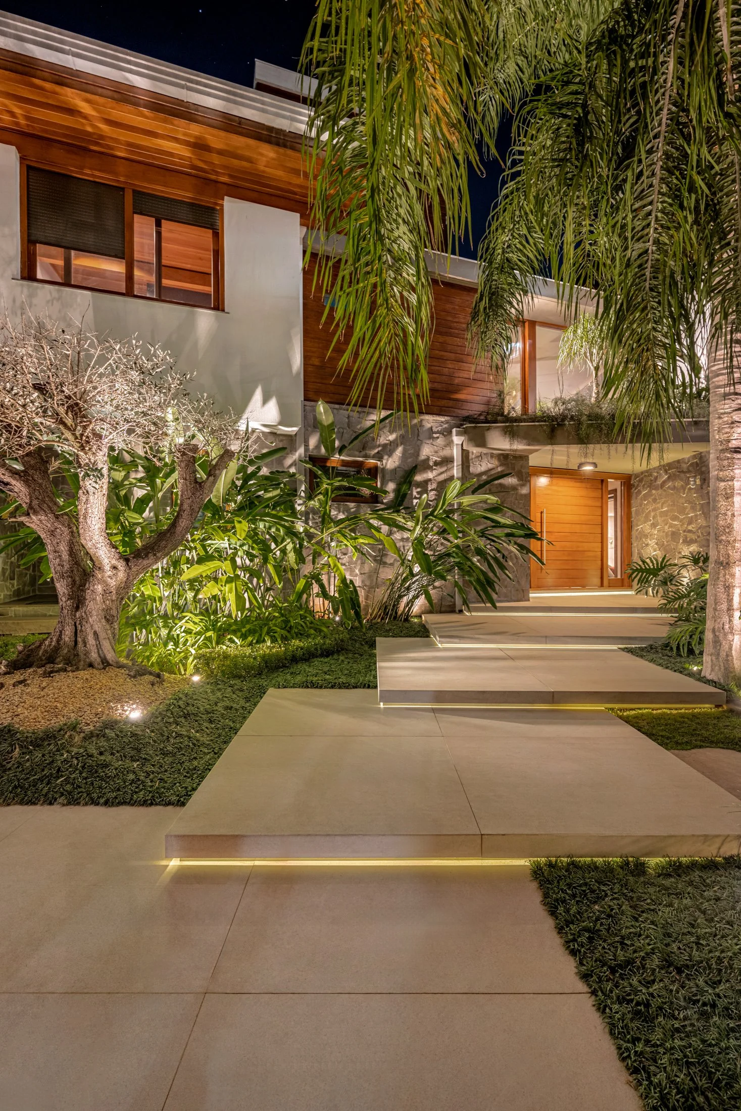 Projeto paisagístico contemporâneo de entrada residencial que combina uma oliveira centenária como ponto focal escultórico, iluminada por spots de solo, com massas de helicônias e filodendros tropicais que criam camadas de texturas verdes contra a fachada de pedra natural e madeira cumaru. O passeio em porcelanato de grande formato com iluminação LED embutida nos espelhos dos degraus conduz elegantemente até a porta pivotante de madeira, ladeado por forrações de grama-preta e grama-esmeralda imp, estilo Moderno, Tropical, elementos Passeio em porcelanato de grande formato bege/areia, Degraus com iluminação LED embutida em fita sob os espelhos, Fachada revestida em pedra natural cinza e painéis de madeira cumaru, Porta pivotante em madeira maciça com puxador vertical, Iluminação de destaque tipo spot uplighting na oliveira, Janelas com venezianas em madeira, Canteiros elevados com forração de grama-preta, Mureta de pedra natural como elemento de transição, plantas Oliveira, Helicônia, Palmeira-rabo-de-raposa, Grama-preta, Grama-esmeralda, Pleomele, Palmeira-ráfis, Filodendro, ambiente sofisticado, moderno, acolhedor, localização entrada, fachada, jardim, área medio, estruturas iluminacao, cores bege, cinza, verde-escuro, marrom-madeira, branco, âmbar, piso porcelanato, grama, privacidade muro_verde, água nenhum