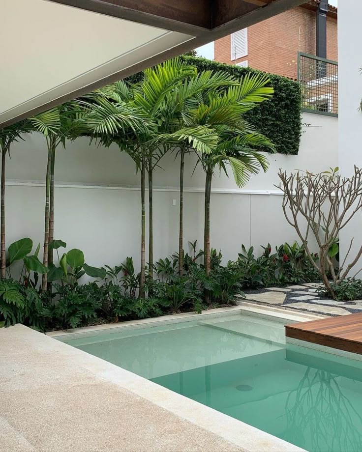 Projeto paisagístico tropical contemporâneo em área de piscina residencial, com forte influência do paisagismo brasileiro modernista, evidenciada pelo piso em mosaico português de padrão orgânico que remete à linguagem de Burle Marx. O maciço vegetal é composto por palmeiras-veitchia de porte médio plantadas em renque junto ao muro branco, criando um dossel tropical exuberante, complementado por jasmim-manga com troncos escultóricos, heliconias, antúrios e filodendros que formam uma forração den, estilo Moderno, Tropical, elementos Piscina retangular com borda em pedra natural clara (tipo São Tomé ou Hijau), Deck em madeira cumaru ou ipê ao redor da piscina, Piso em mosaico português preto e branco com desenho orgânico curvilíneo estilo Burle Marx, Pisantes irregulares em pedra São Tomé entre o mosaico, Muro branco alto como pano de fundo para o maciço vegetal, Jardim vertical / muro verde em ficus sobre a parede lateral do segundo pavimento, Canteiro elevado linear junto ao muro com forração tropical densa, Estrutura metálica de cobertura parcial sobre a piscina com viga aparente em concreto, plantas Palmeira-veitchia, Helicônia, Filodendro-guaimbê, Pleomele, Jasmim-manga, Costela-de-adão, Alpínia, Tumbérgia-arbustiva / Muro-verde, Antúrio, Lírio-da-paz, ambiente relaxante, sofisticado, moderno, localização piscina, quintal, muro, área medio, estruturas pergolado, iluminacao, cores verde-escuro, verde-claro, branco, bege, marrom-madeira, turquesa, preto, piso deck, pisantes, pedra, privacidade muro_verde, cerca_viva, água piscina